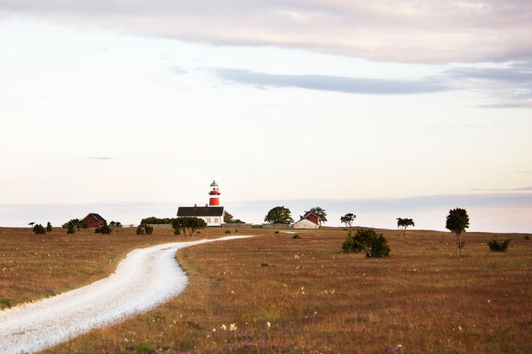 gotland_host_026